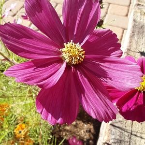 Meet your Posher, Jaye